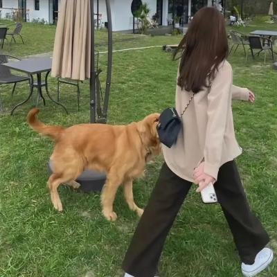 皮皮鲁与鲁西西之罐头小人